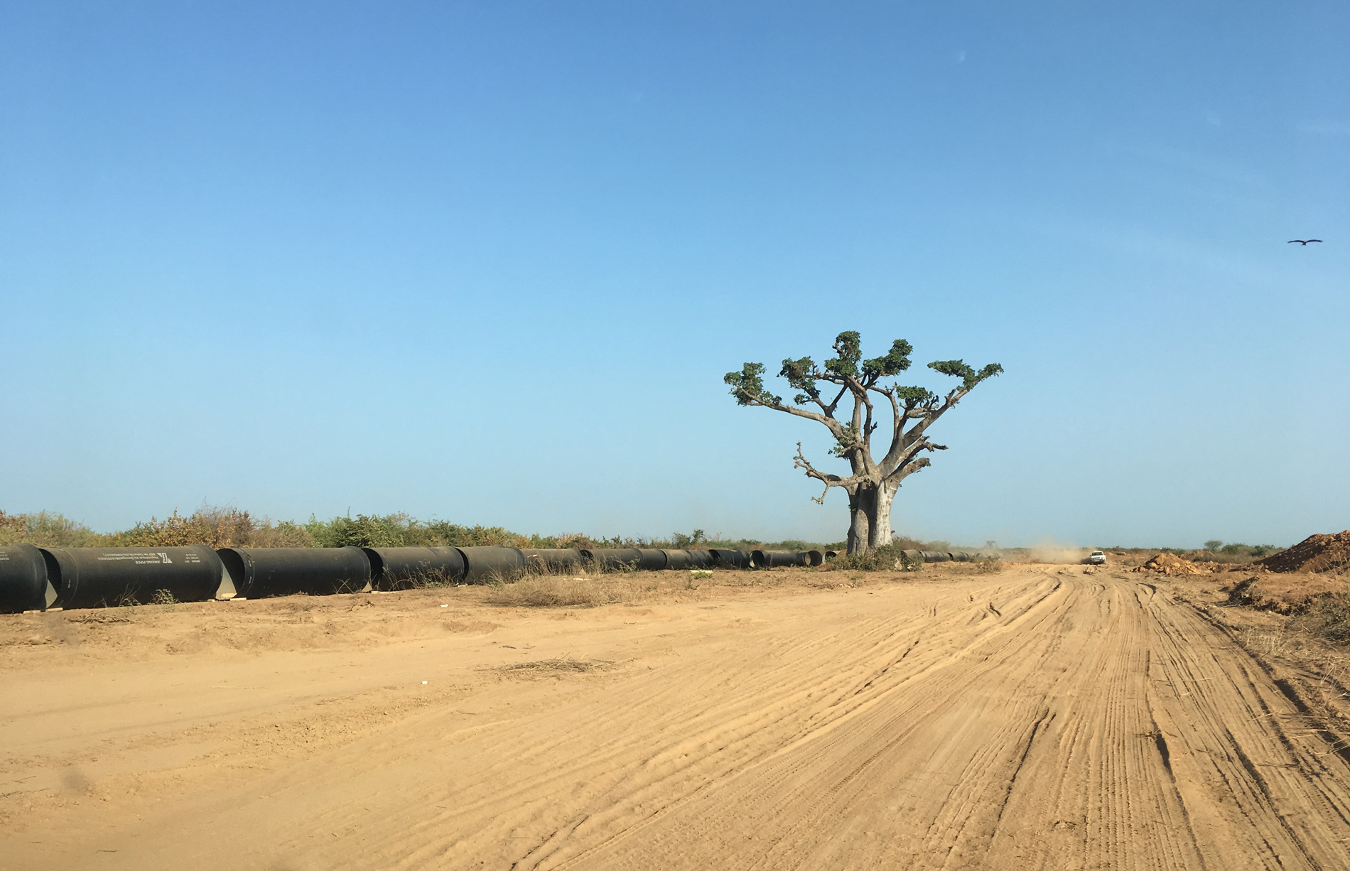 SADE - Construction de 12 châteaux d'eau au Sénégal 